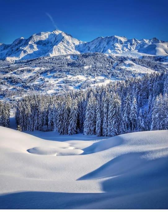 Logement A Megeve Avec Jardin Eksteriør bilde